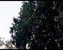PDVD_1724