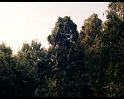 PDVD_1740