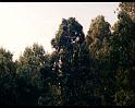 PDVD_1741