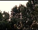 PDVD_1746
