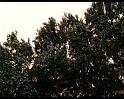 PDVD_1747