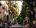 PDVD_1766
