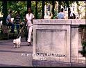 PDVD_308