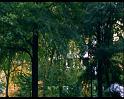 PDVD_314