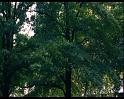 PDVD_315