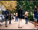 PDVD_325