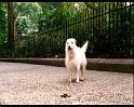 PDVD_328