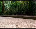 PDVD_329