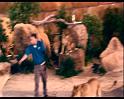 PDVD_489