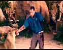 PDVD_491