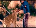 PDVD_492