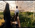 PDVD_647