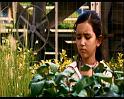 PDVD_658