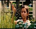 PDVD_661