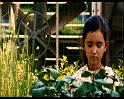 PDVD_662