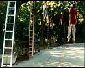 PDVD_695