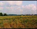 PDVD_991