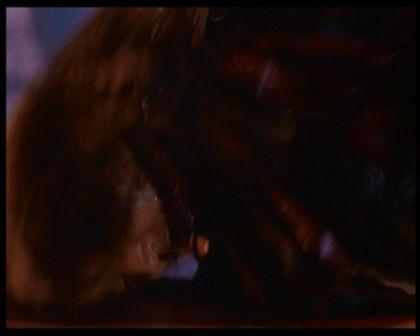 PDVD_093.jpg