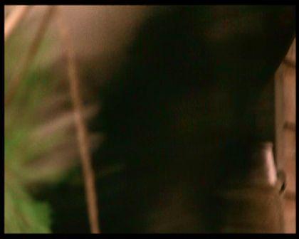PDVD_1035.jpg