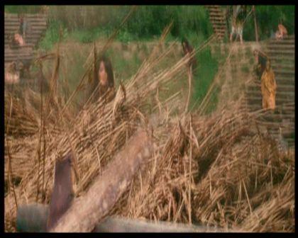 PDVD_1063.jpg
