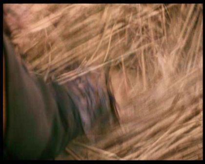 PDVD_1069.jpg