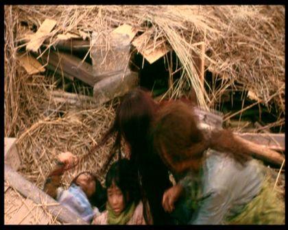 PDVD_1082.jpg