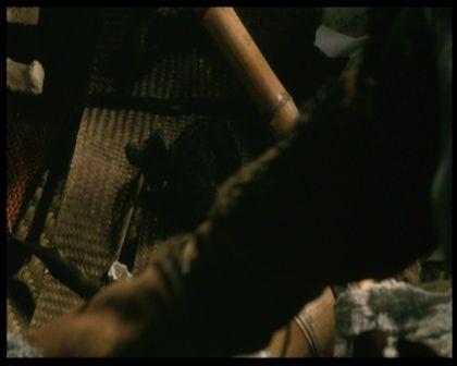 PDVD_1134.jpg