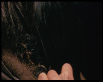 PDVD_1180.jpg