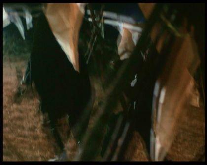 PDVD_1287.jpg