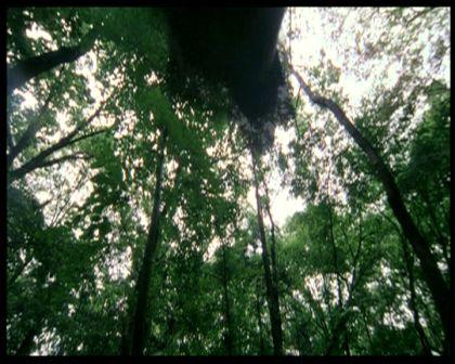 PDVD_1508.jpg