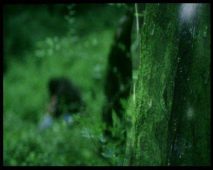PDVD_1541.jpg