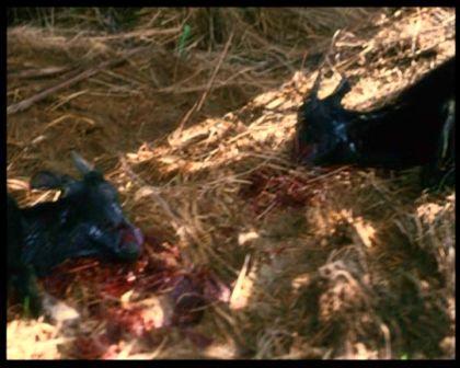 PDVD_1590.jpg