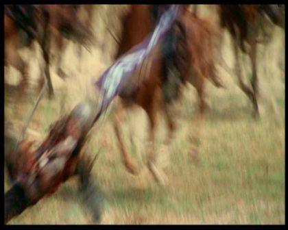 PDVD_1986.jpg
