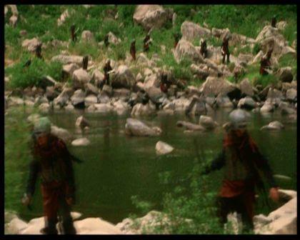PDVD_2021.jpg