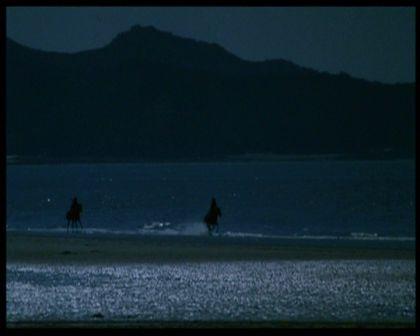 PDVD_2078.jpg