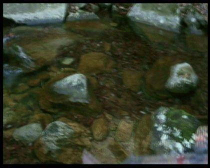 PDVD_2098.jpg