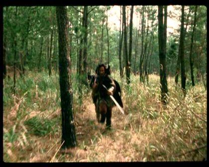 PDVD_210.jpg