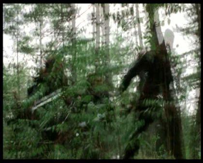 PDVD_215.jpg