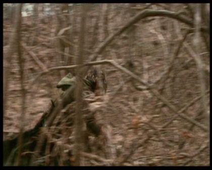 PDVD_2152.jpg