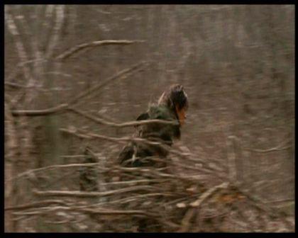 PDVD_2153.jpg