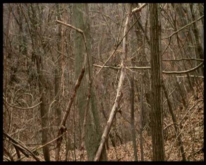 PDVD_2154.jpg