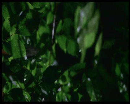 PDVD_2226.jpg