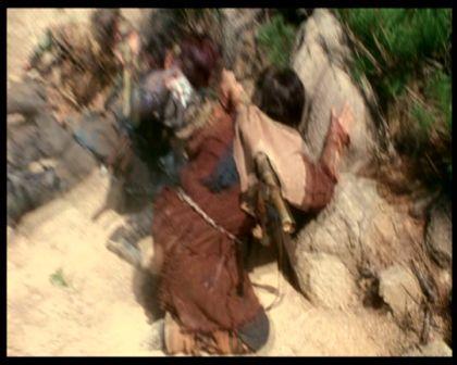 PDVD_229.jpg