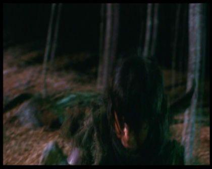PDVD_2333.jpg