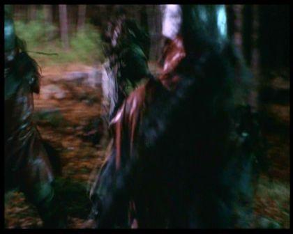 PDVD_2342.jpg