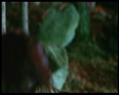 PDVD_2418.jpg