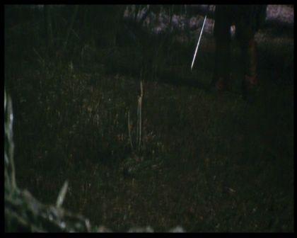 PDVD_2470.jpg