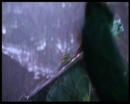 PDVD_2508.jpg