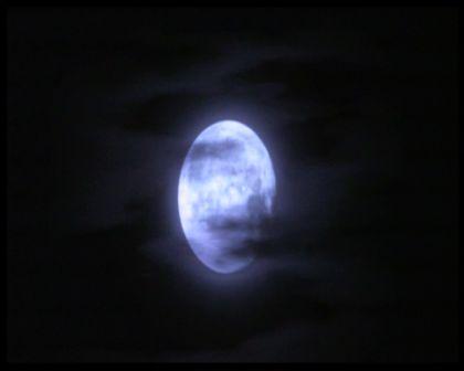 PDVD_2544.jpg