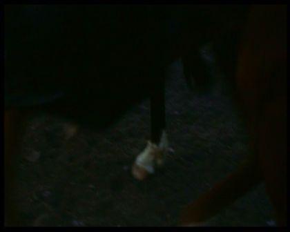 PDVD_2562.jpg